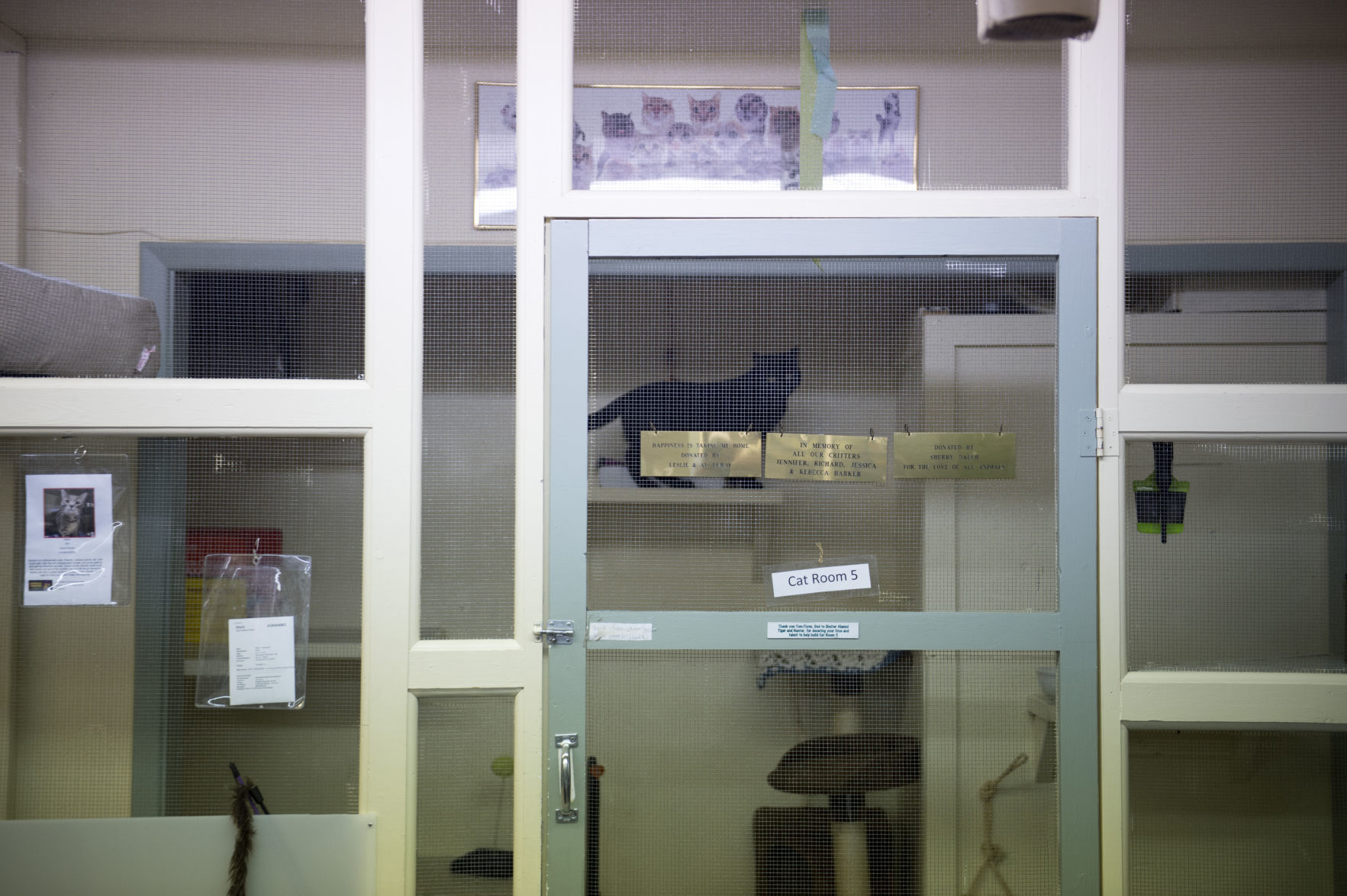 Pet advocates delight in $16 million facility